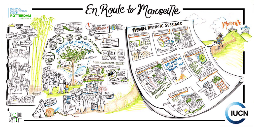 Live illustrator En Route to Marseille